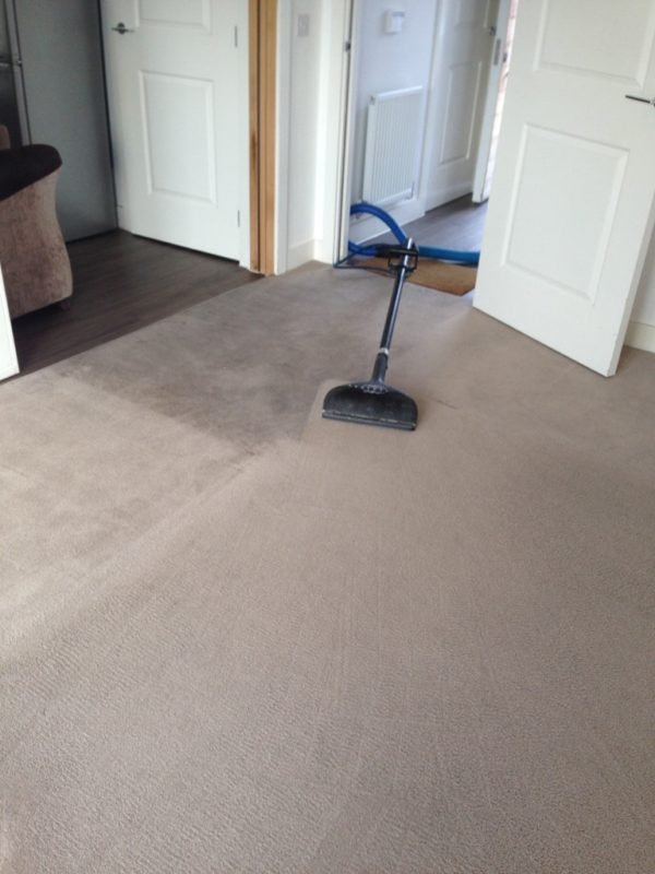 Benefits of Deep Cleaning Your Carpets XL Cleaners