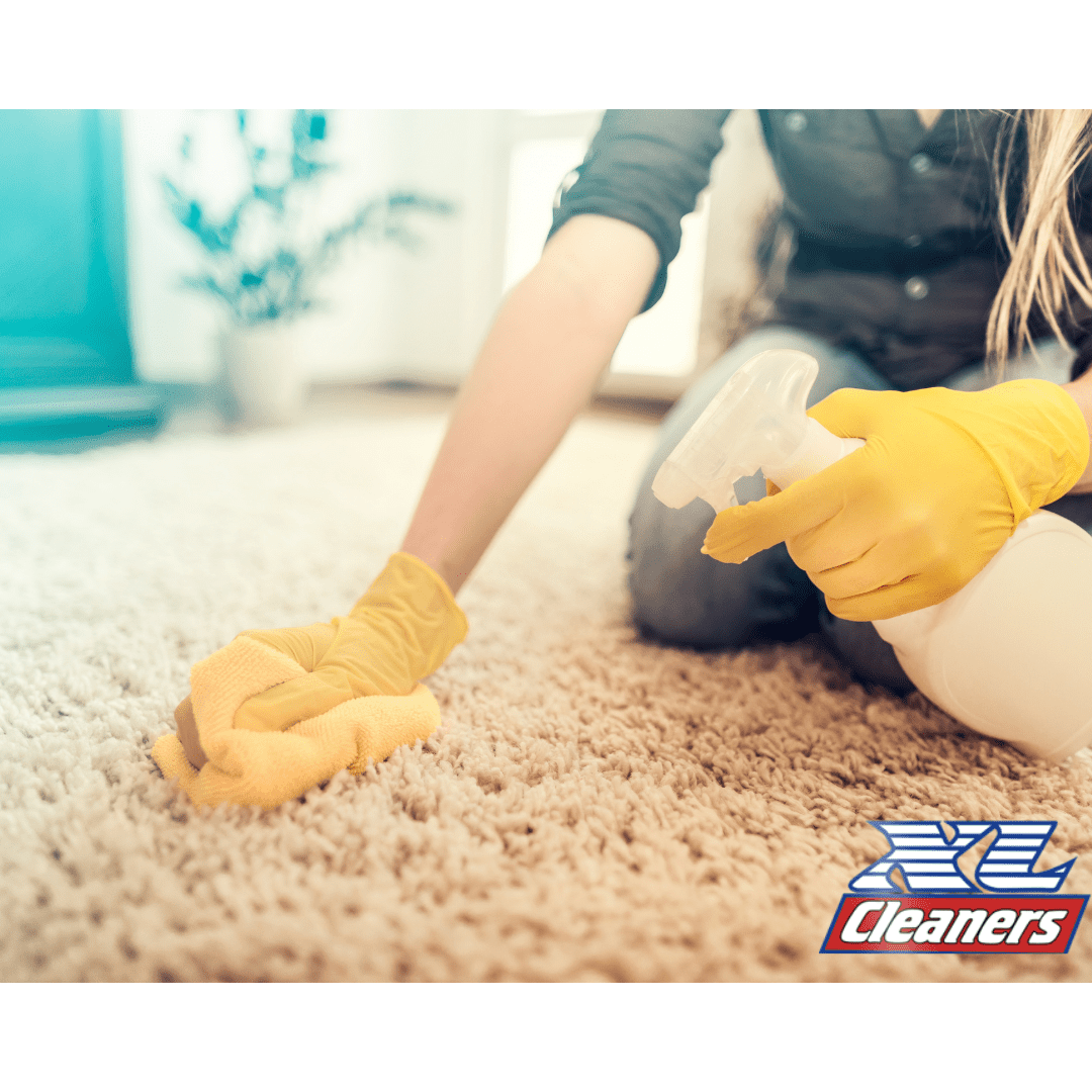 Water Damaged Carpets, know how and when to clean them XL cleaners