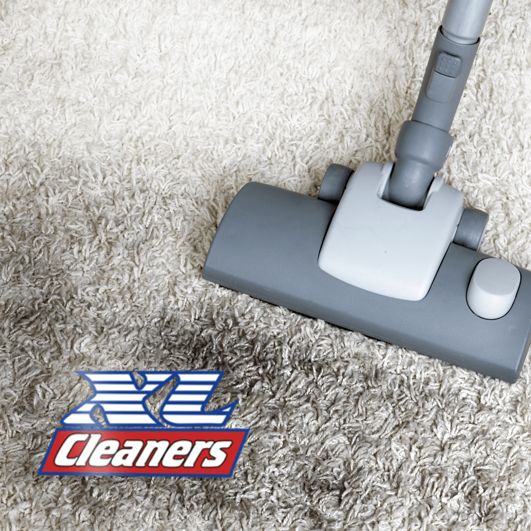 How to Identify Mould Growth in Carpets XL Cleaners