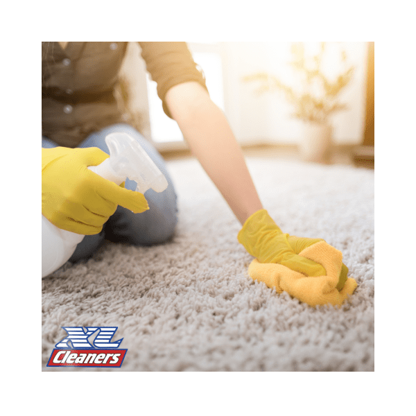 DIY Carpet Cleaning And The Mistakes to Avoid XL Cleaners