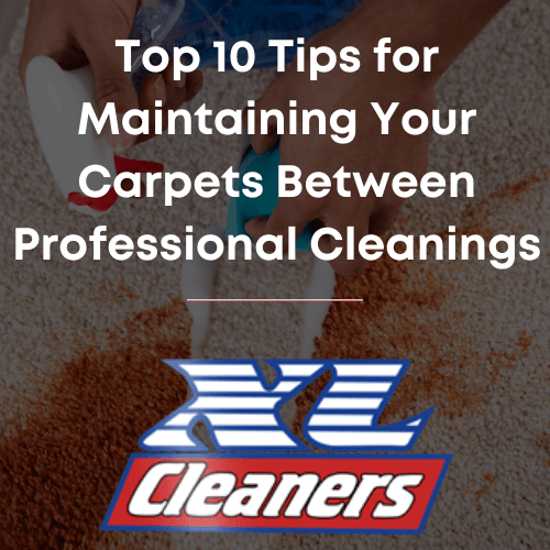 Top 10 Tips for Maintaining Your Carpets Between Professional Cleanings ...